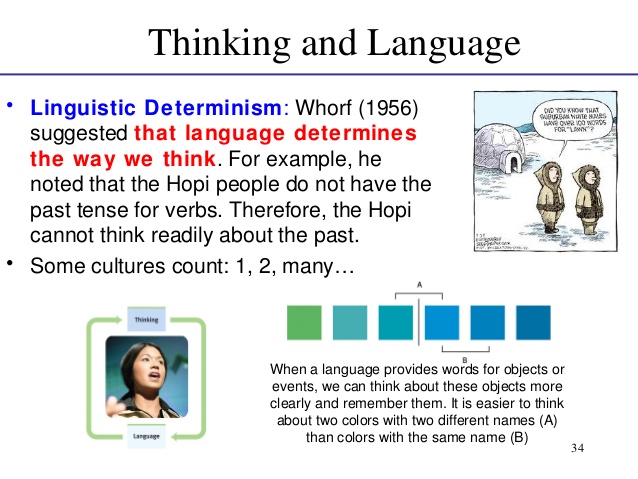 To what extent does language shape thought and behaviour