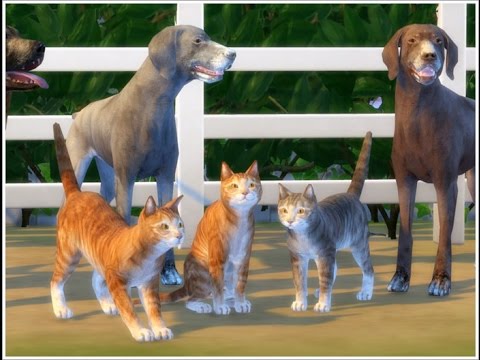 Sims 3 More Pets Mod
